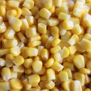 IQF Sweet corn kernels