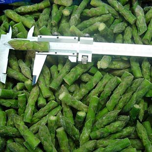 IQF Green asparagus tips