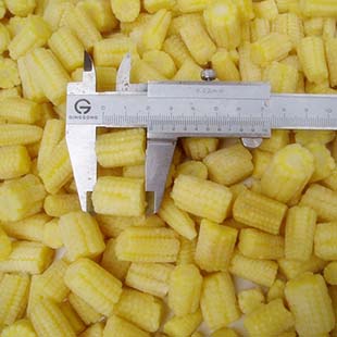 Frozen  Baby corn cut