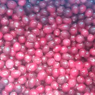 Imported Frozen cranberry
