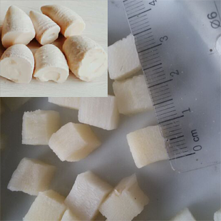 IQF Bamboo shoots dice