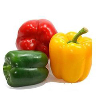 Fresh Colored bell pepper