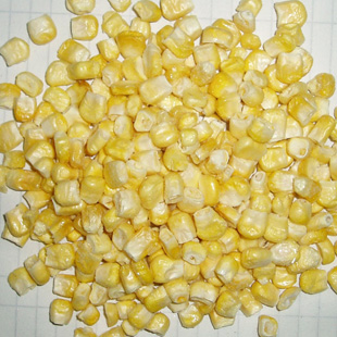 FD Sweet corn kernels